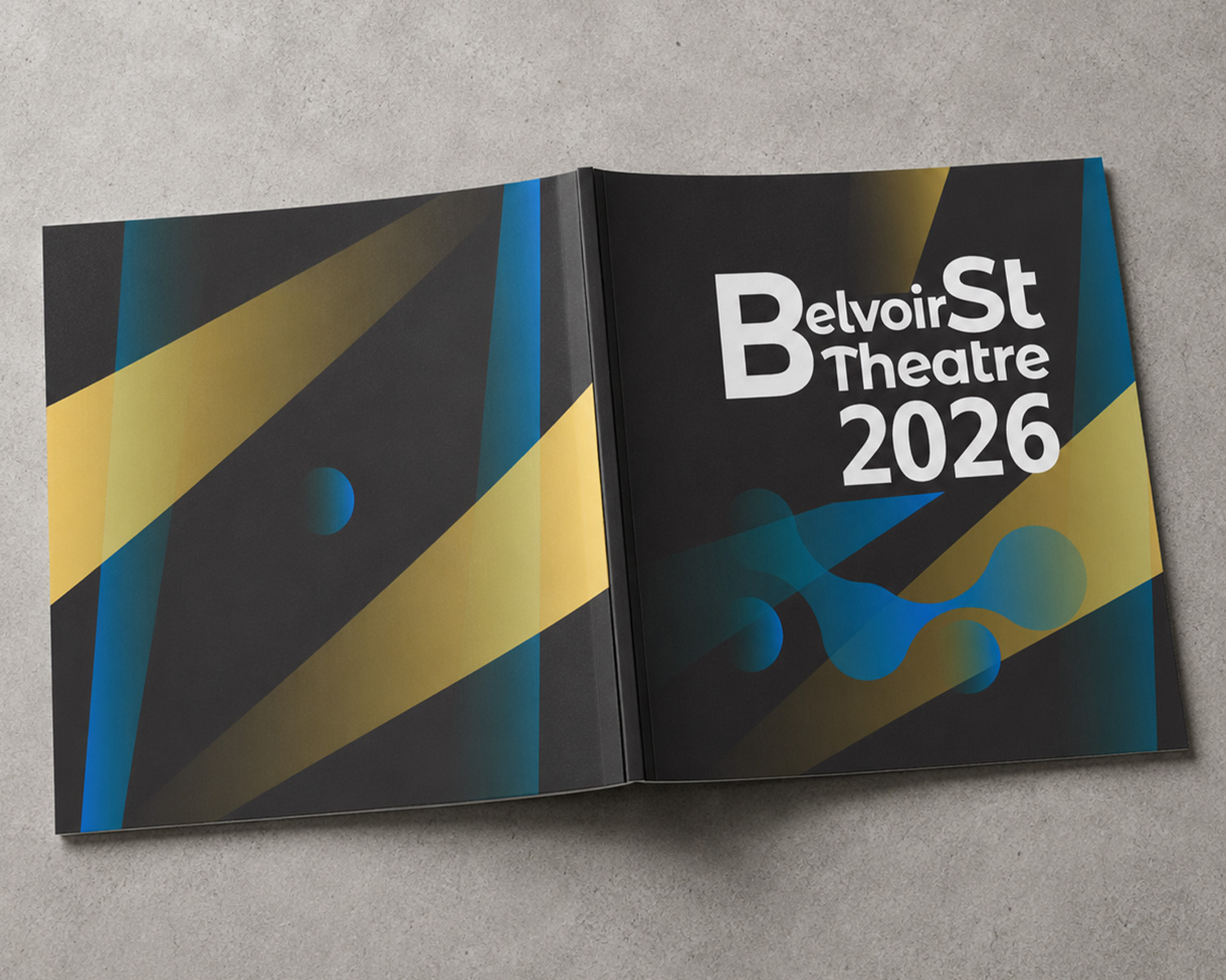Project image 3