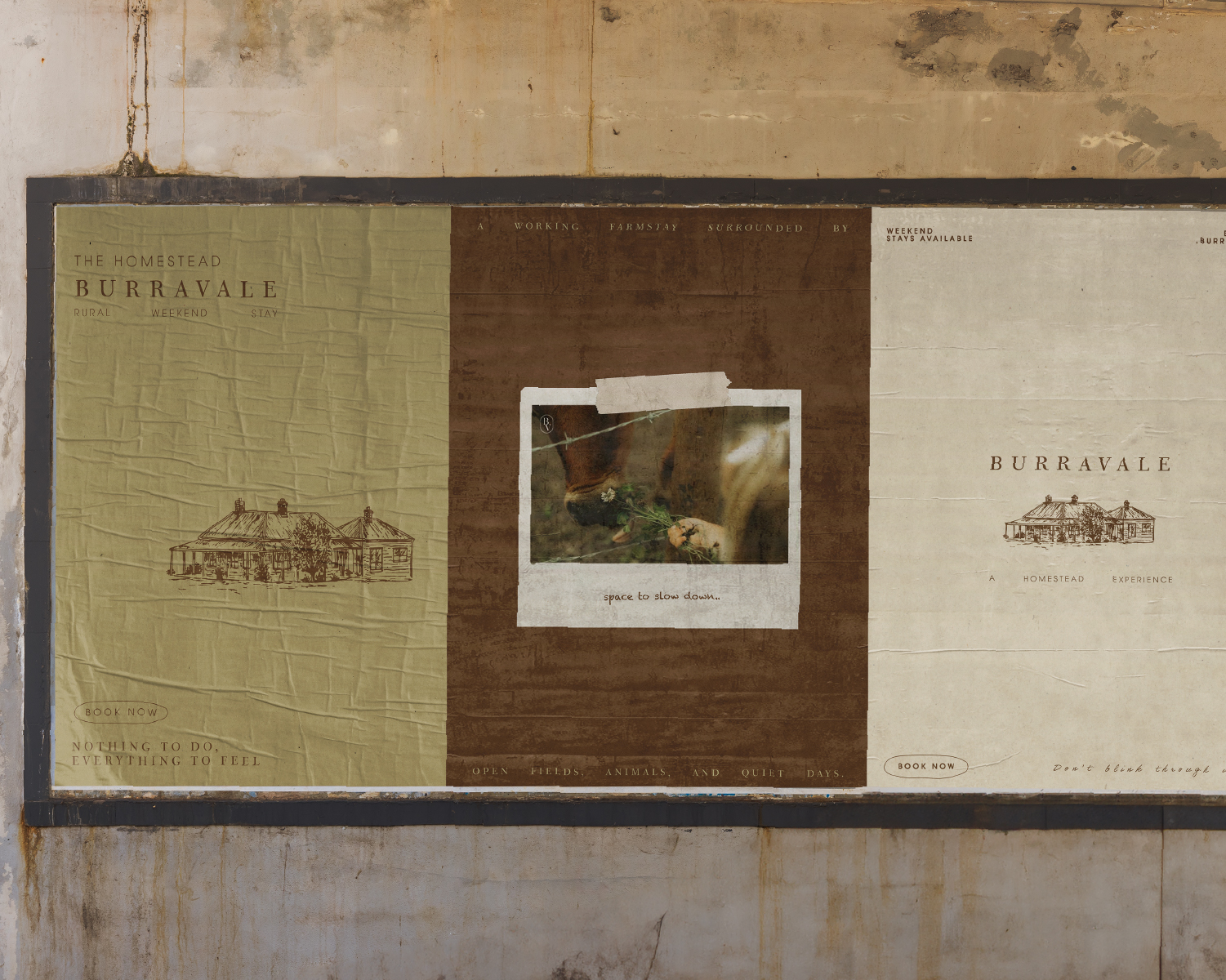 Project image 1