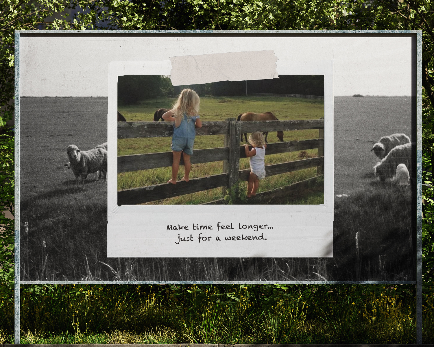 Project image 3