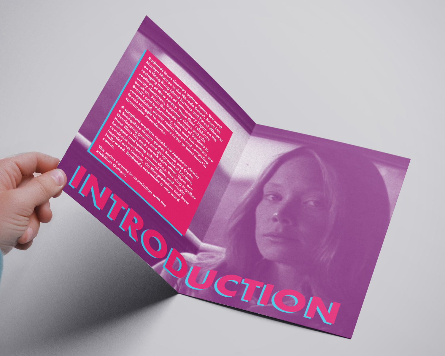 Project image 3