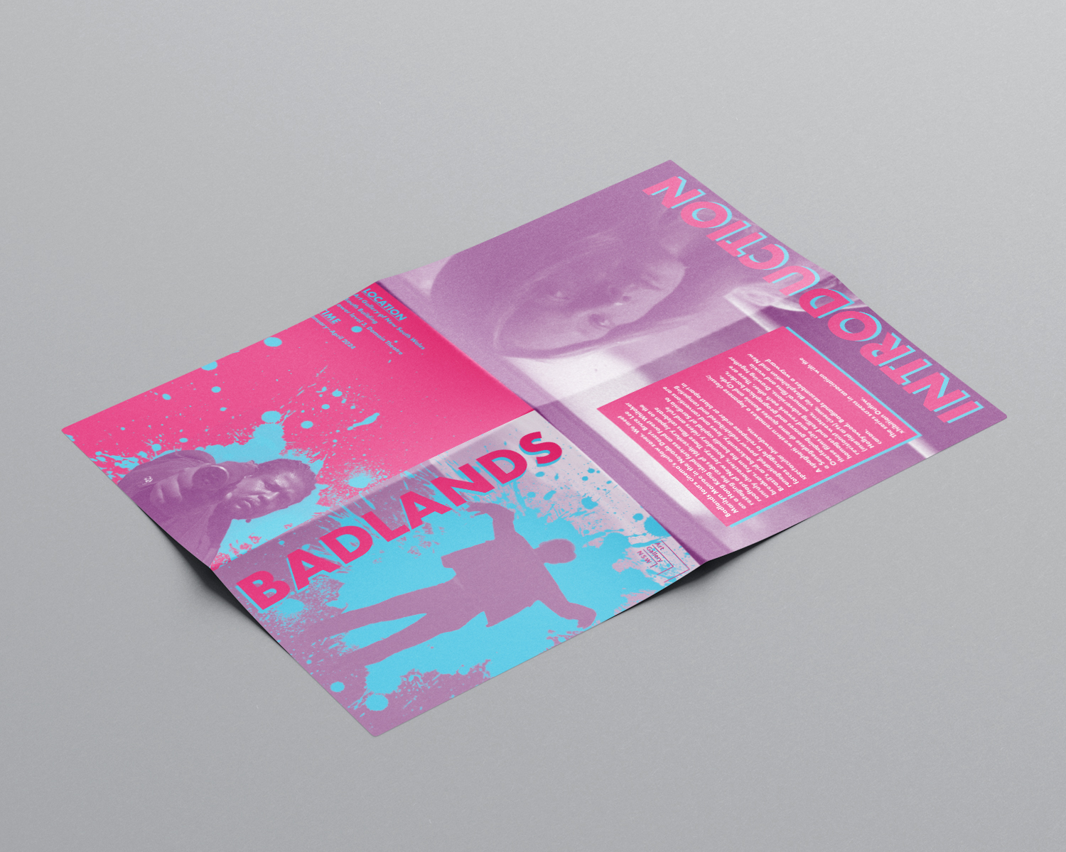 Project image 3