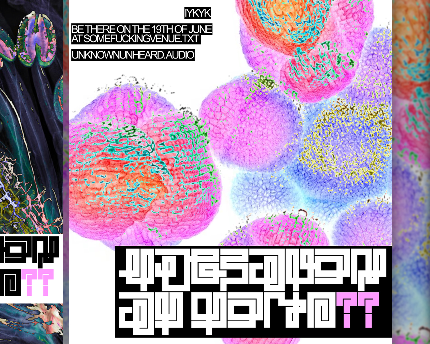 Project image 3