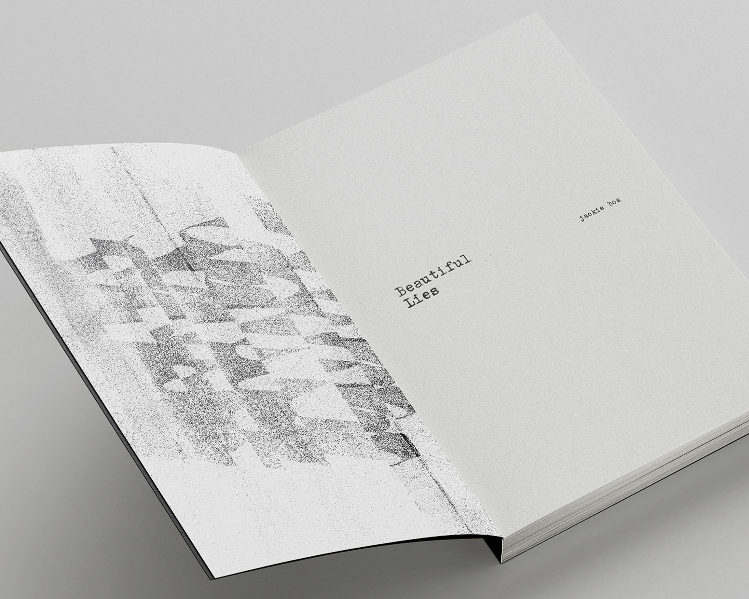 Project image 3