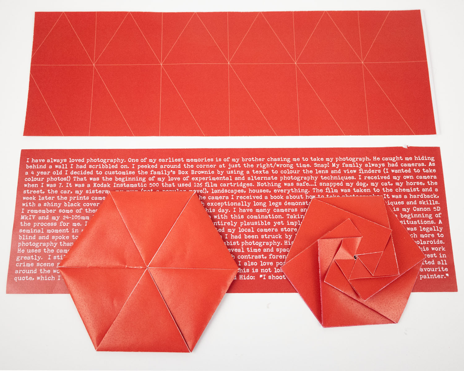 Project image 3
