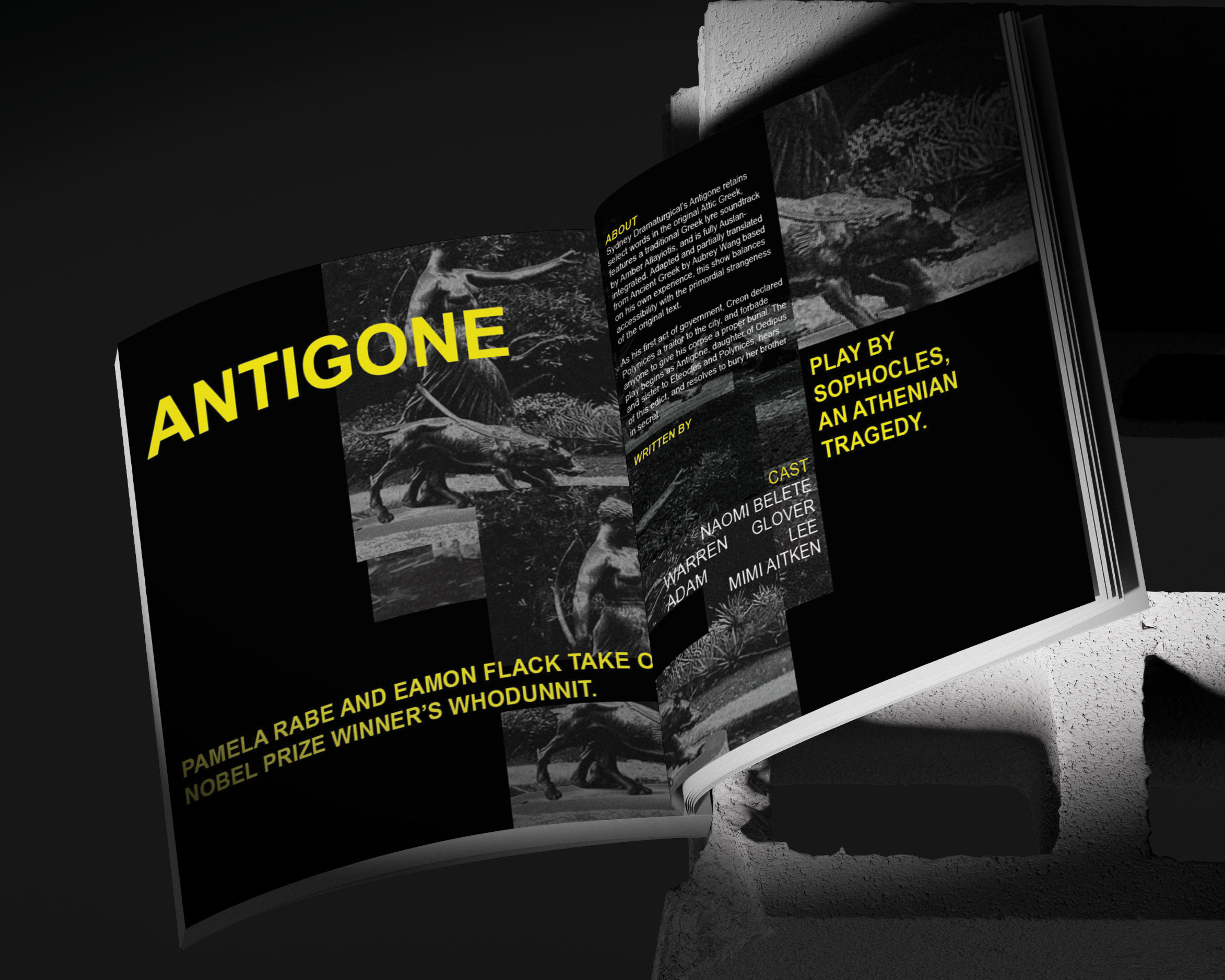 Project image 3